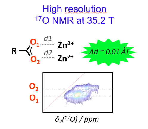 Unveiling the Structure and Reactivity of Fatty-Acid