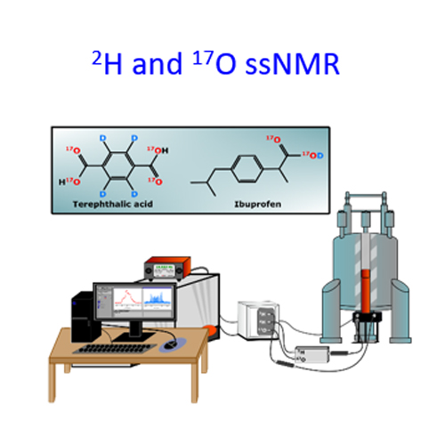 Looking into the dynamics of molecular crystals