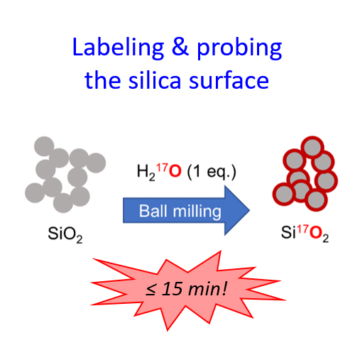 Labeling & Probing the silica surface