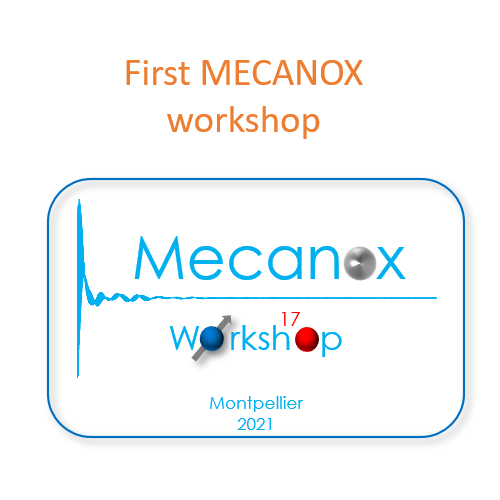 First MECANOX Workshop