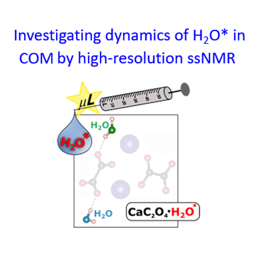 Investigating dynamics of H2O